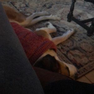 Meet your Posher, Hannah